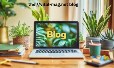 the //vital-mag.net blog: That Transform Your Health Journey